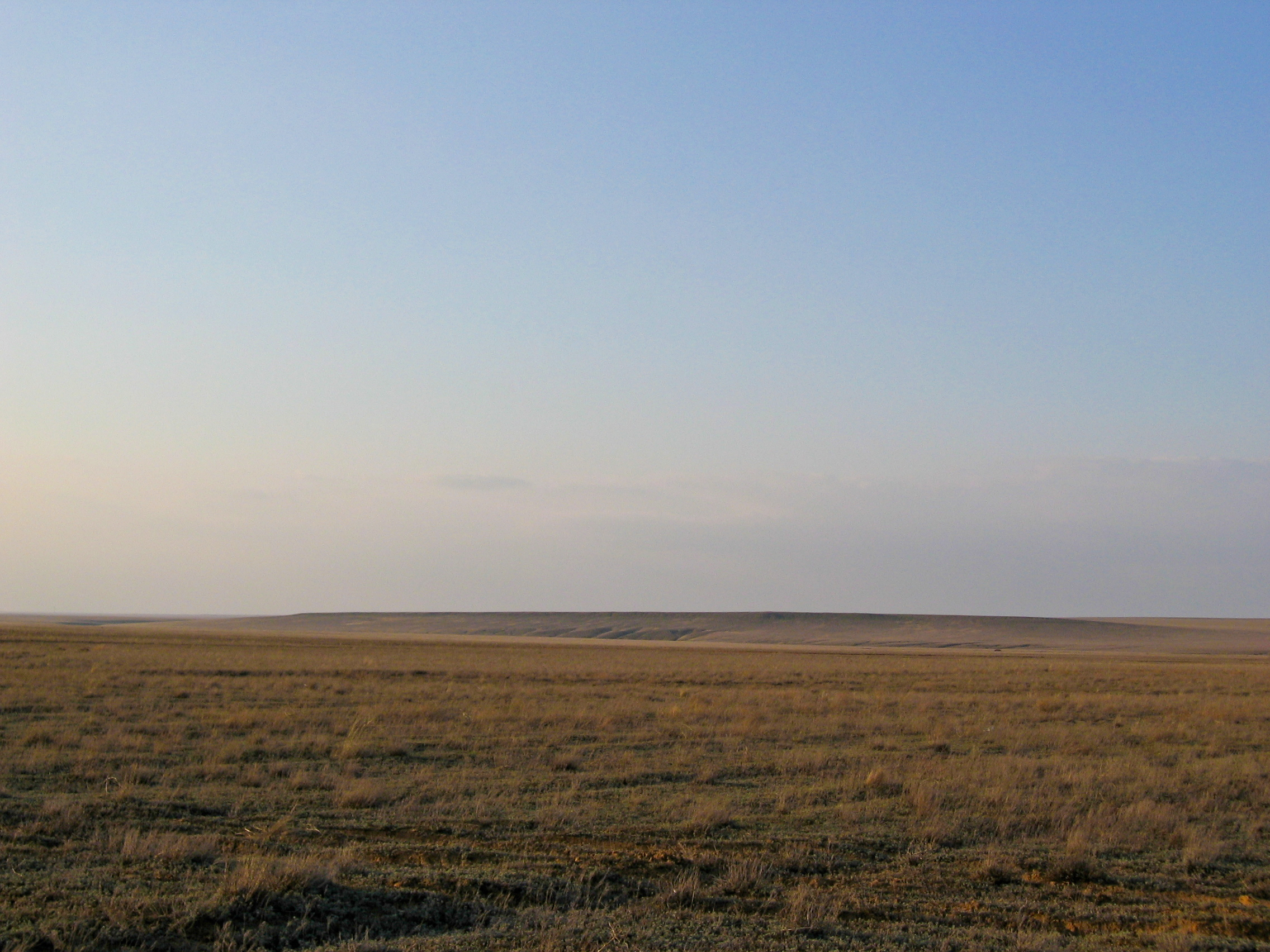 Open steppe grassland in western Kazakhstan